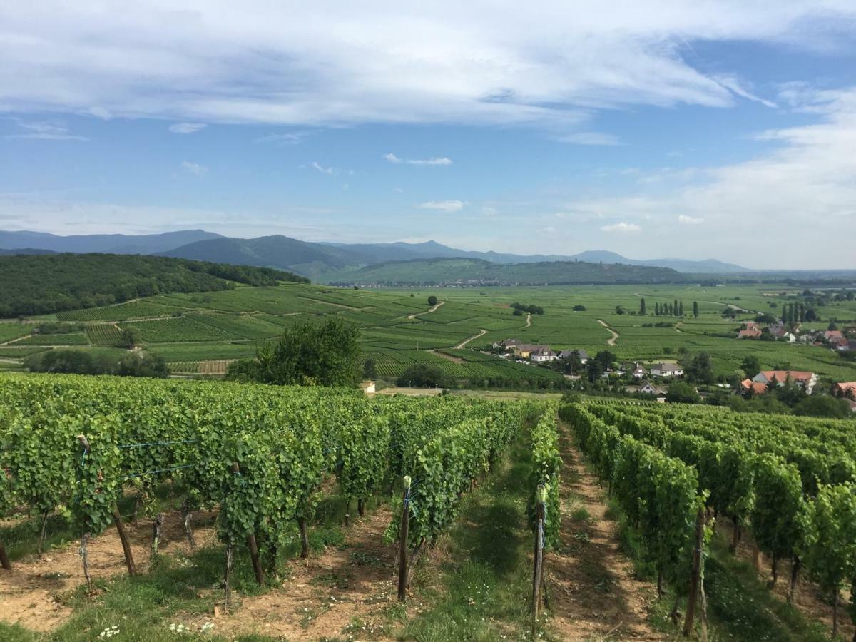 La Tour Gites Du Florimont Ingersheim Exteriér fotografie